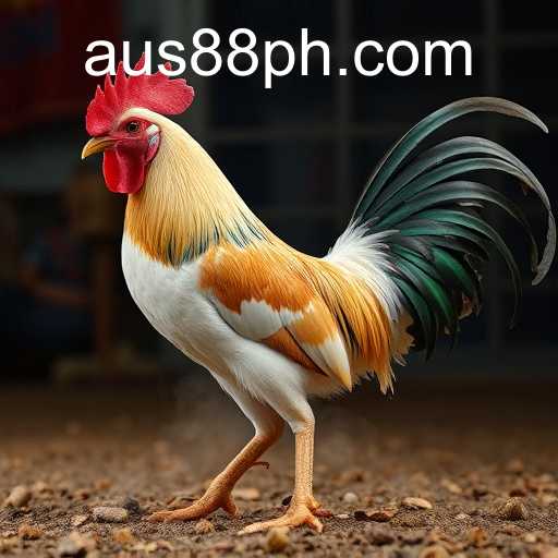 Exploring the Impact of AUS88 on Online Sabong